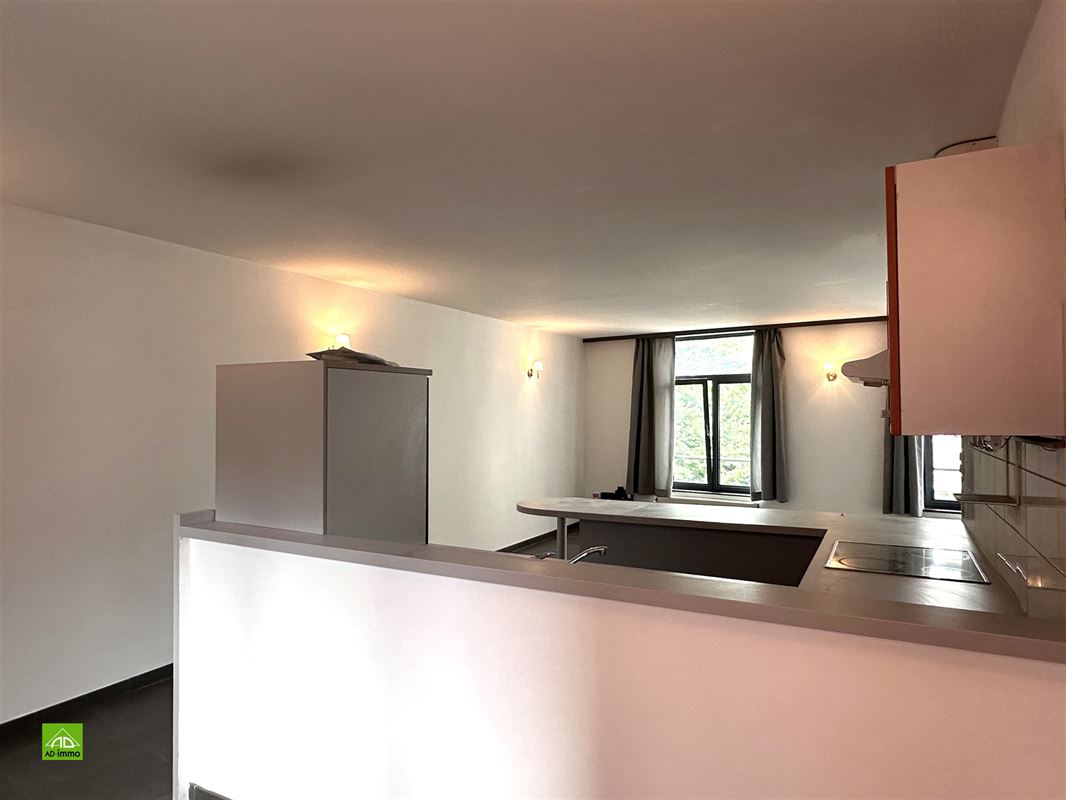 Image 11 : appartement à 5000 NAMUR (Belgique) - Prix 740 &euro;
