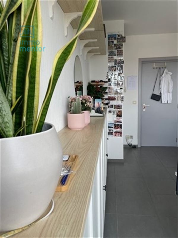 Appartement met één slaapkamer