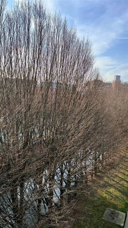 Instapklare assistentiewoning