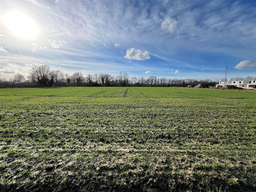 Terrain agricole