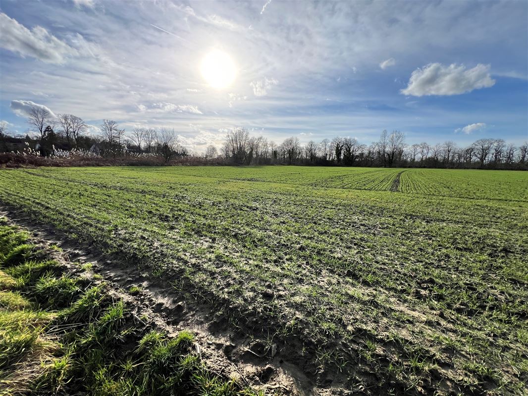 Terrain agricole