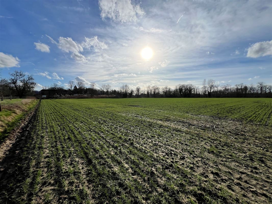 Terrain agricole