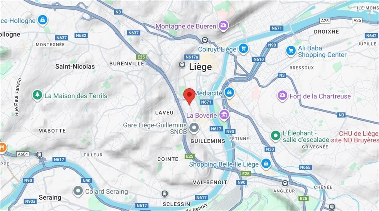 Image 23 : Appartement à 4000 LIÈGE (Belgique) - Prix 900 €