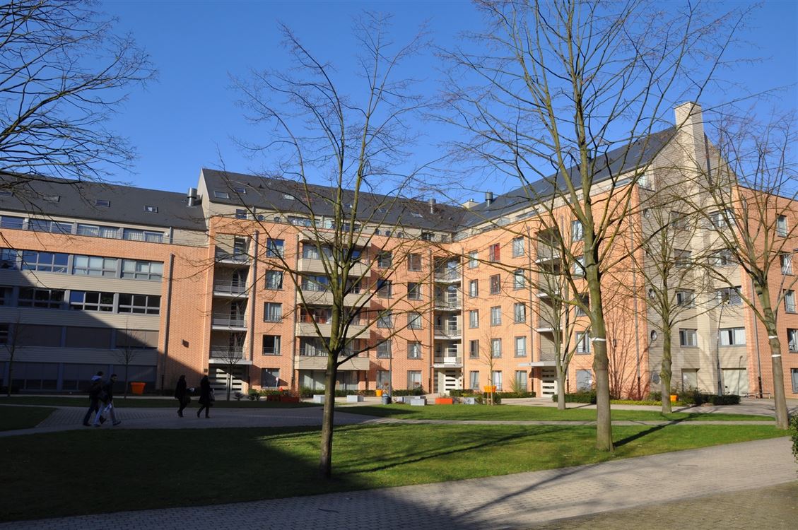 Appartement à WOLUWE-SAINT-LAMBERT (1 chambre)