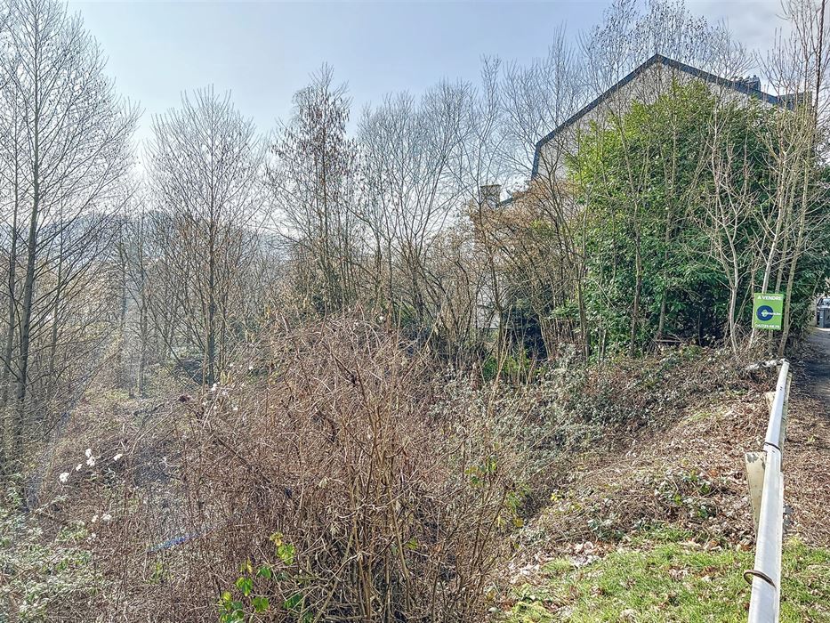 Terrain