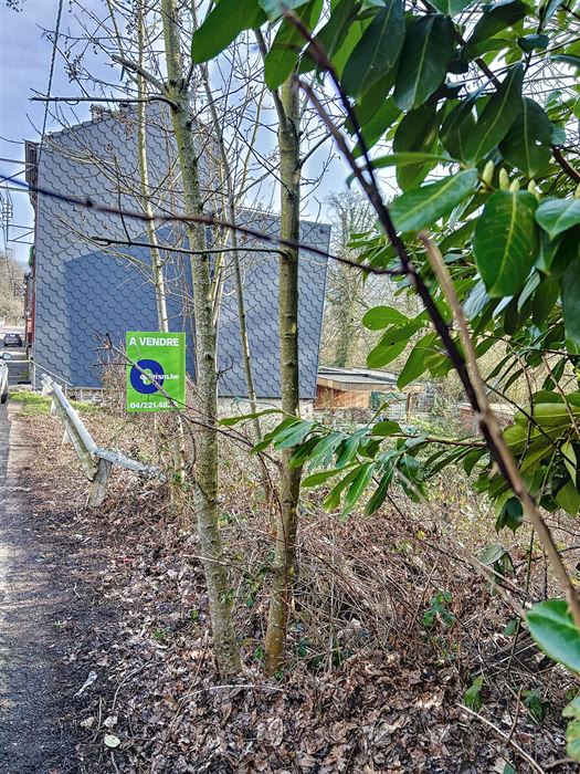 Terrain