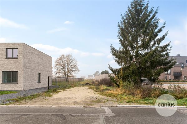 Bouwgrond voor OB te Bree