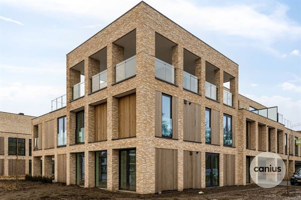 Gelijkvloers appartement nabij het centrum van Dilsen-Stokkem