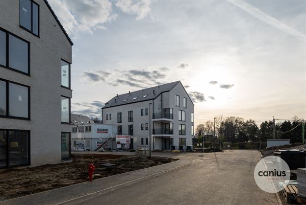 APPARTEMENT DE 3 CHAMBRES AVEC TERRASSE
