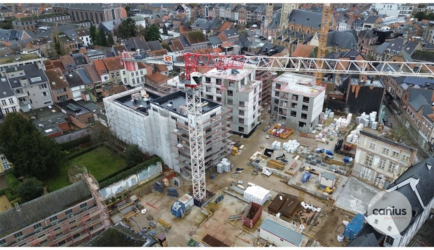 BUITENGEWOON WONEN IN HARTJE SINT-TRUIDEN