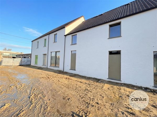 WONEN IN DE PAREL VAN HASPENGOUW