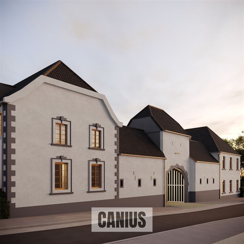 WONEN IN DE PAREL VAN HASPENGOUW
