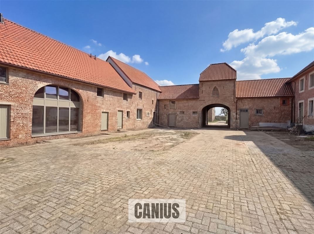 WONEN IN DE PAREL VAN HASPENGOUW