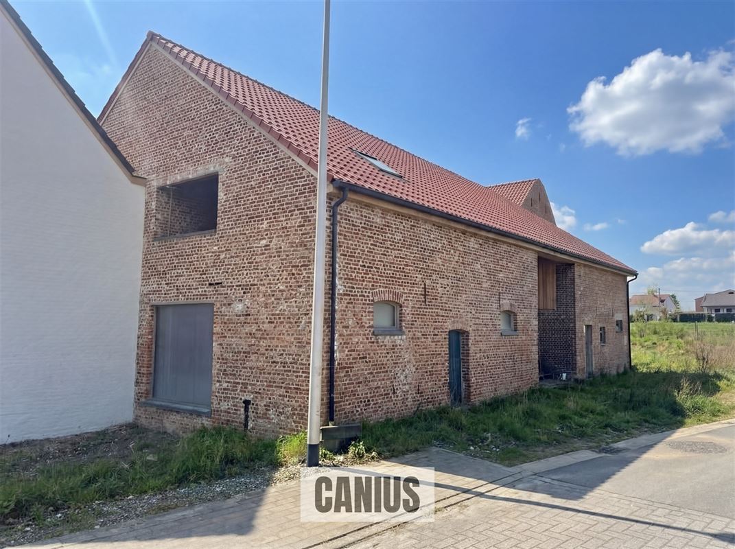 WONEN IN DE PAREL VAN HASPENGOUW