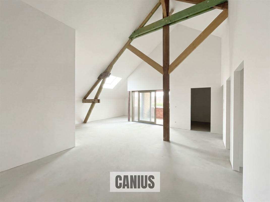 WONEN IN DE PAREL VAN HASPENGOUW