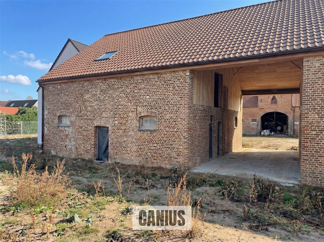 WONEN IN DE PAREL VAN HASPENGOUW