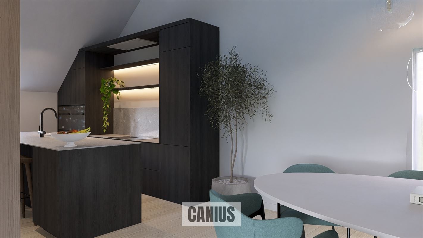 WONEN IN DE PAREL VAN HASPENGOUW