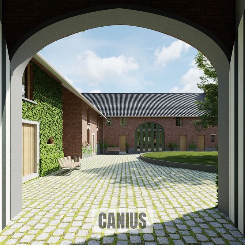 WONEN IN DE PAREL VAN HASPENGOUW