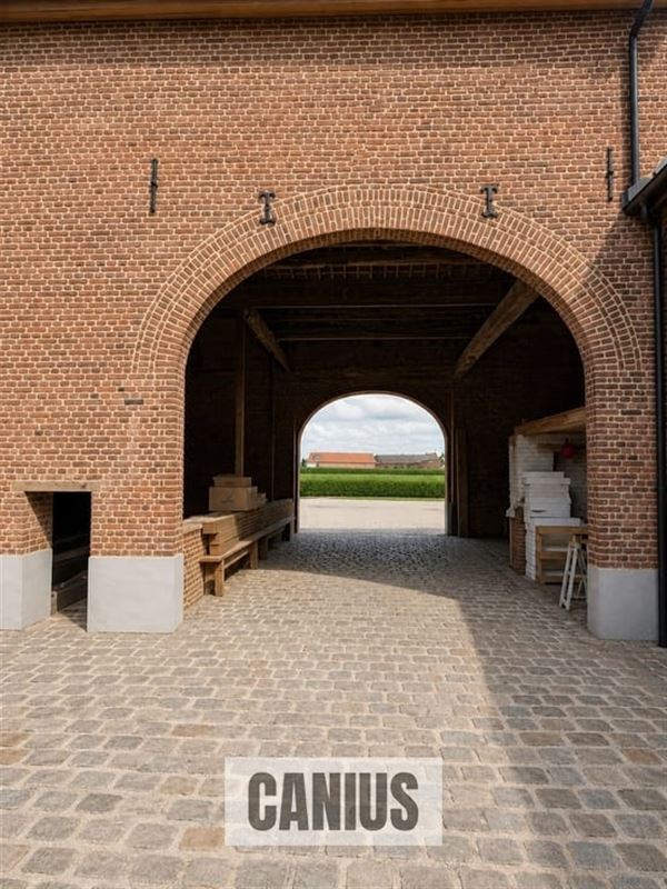 WONEN IN DE PAREL VAN HASPENGOUW