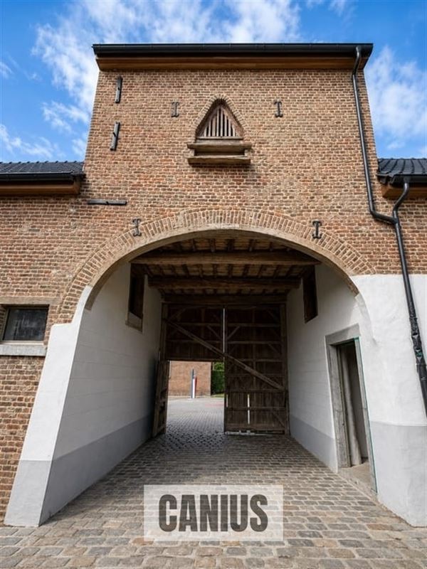 WONEN IN DE PAREL VAN HASPENGOUW