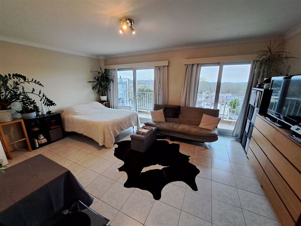 Studio en parfait état avec terrasse Sud-Ouest, PEB : B-