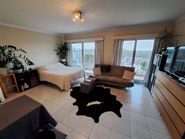 Studio en parfait état avec terrasse Sud-Ouest, PEB : B-