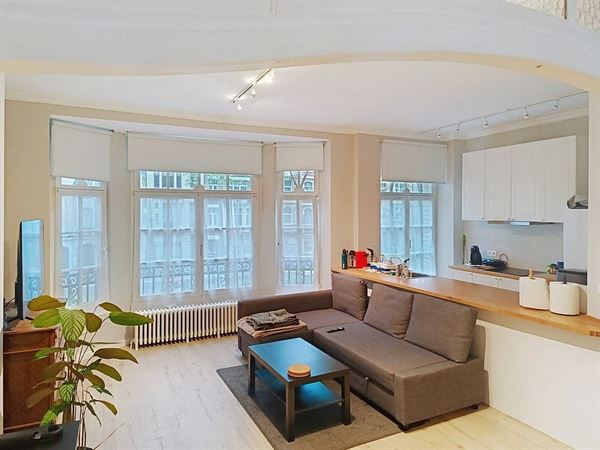 Lumineux appartement une chambre
