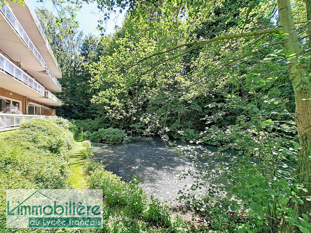 Lumineux appartement 3 chambres avec terrasse