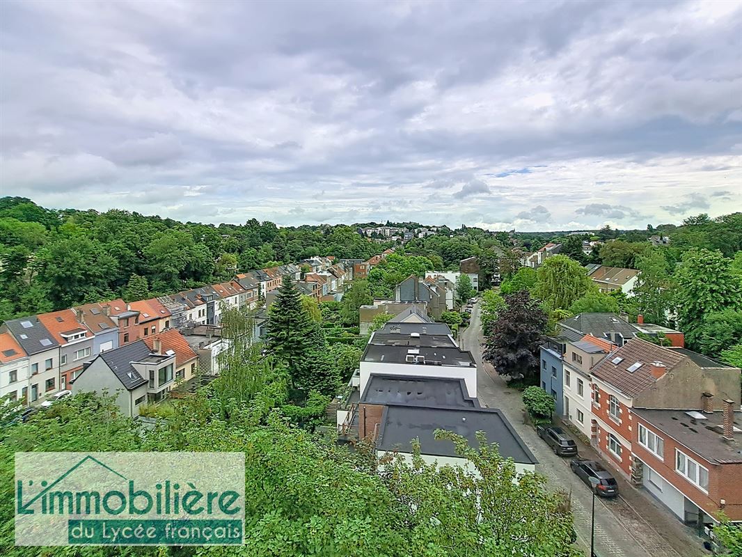 Lumineux appartement 1 chambre