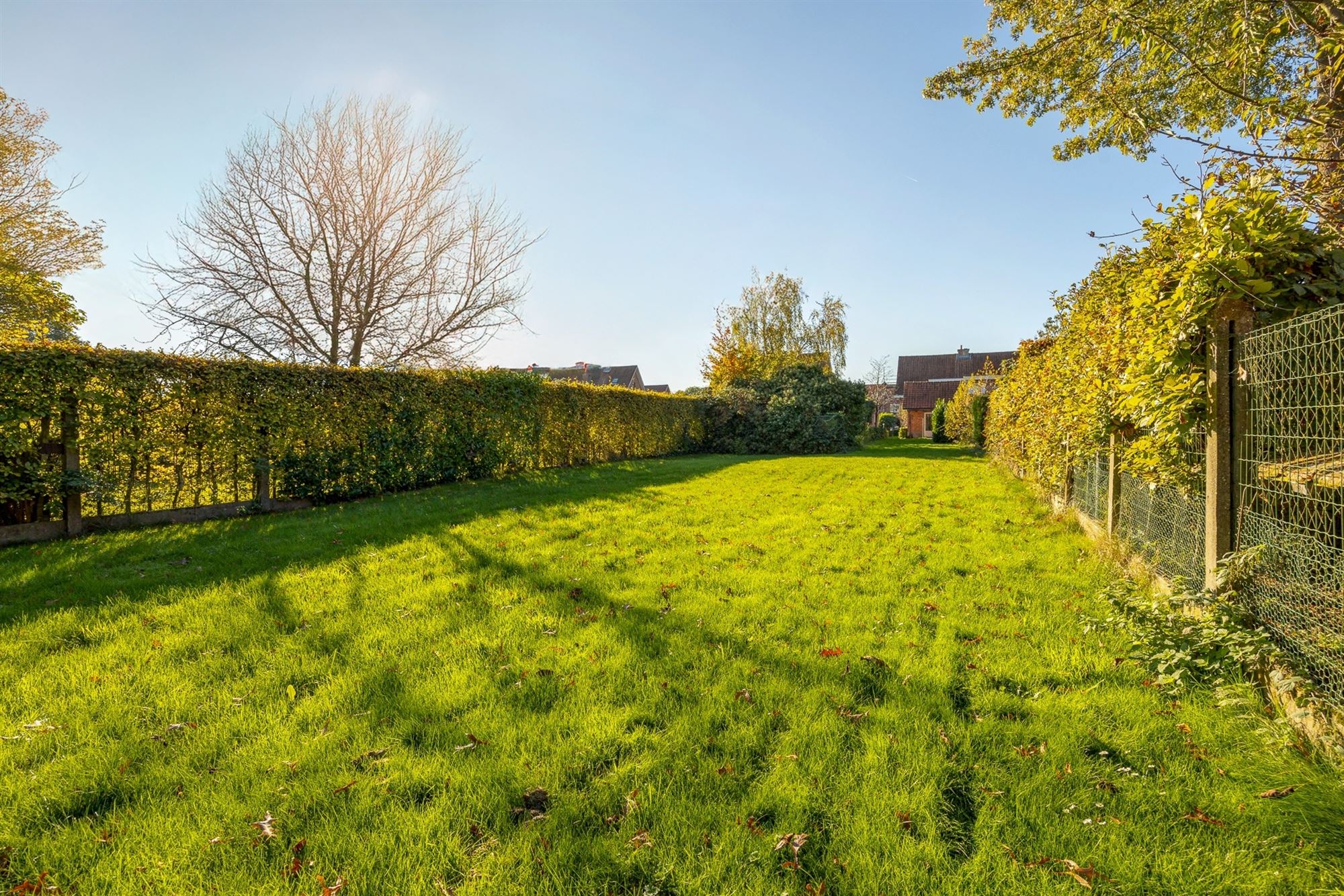 Huis in BEVEREN-WAAS, foto 3