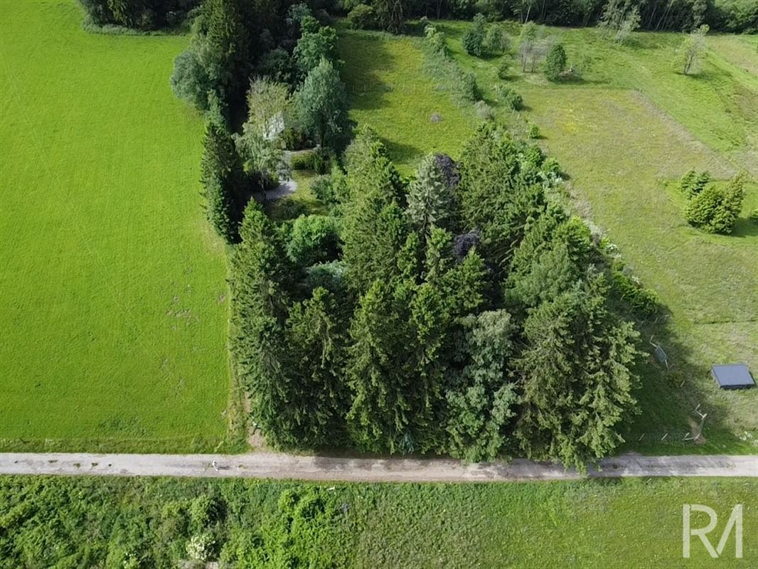 À la recherche d'un véritable coin de nature au cœur de l'Ardenne ?