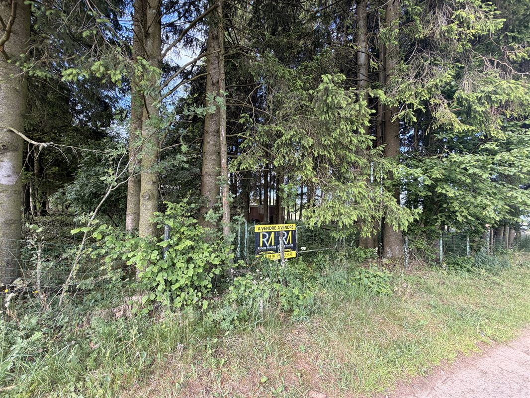 À la recherche d'un véritable coin de nature au cœur de l'Ardenne ?