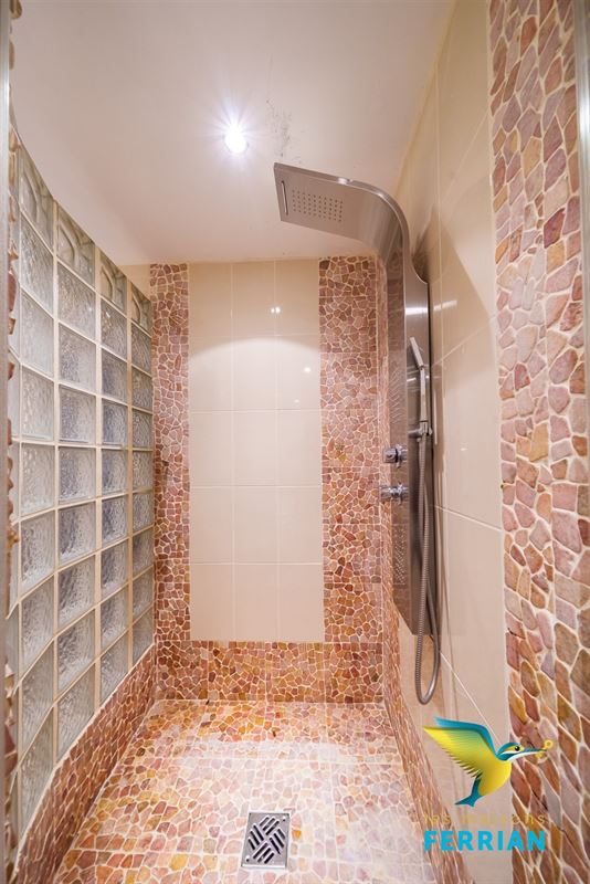 Villa à Court-Saint-Etienne (4 chambres)