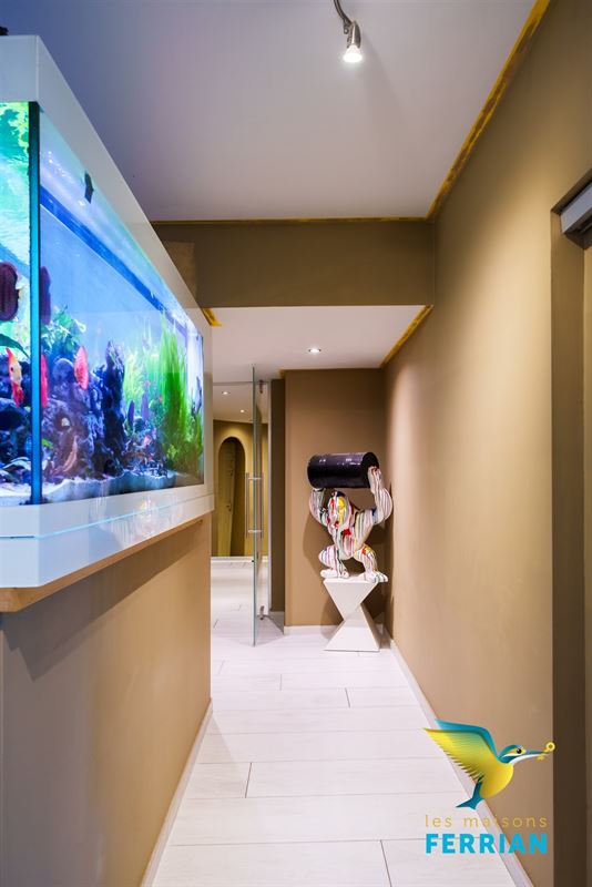 Villa à Court-Saint-Etienne (4 chambres)