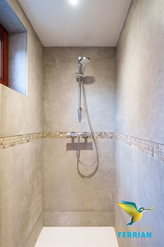 Villa à Tongrinne (4 chambres)