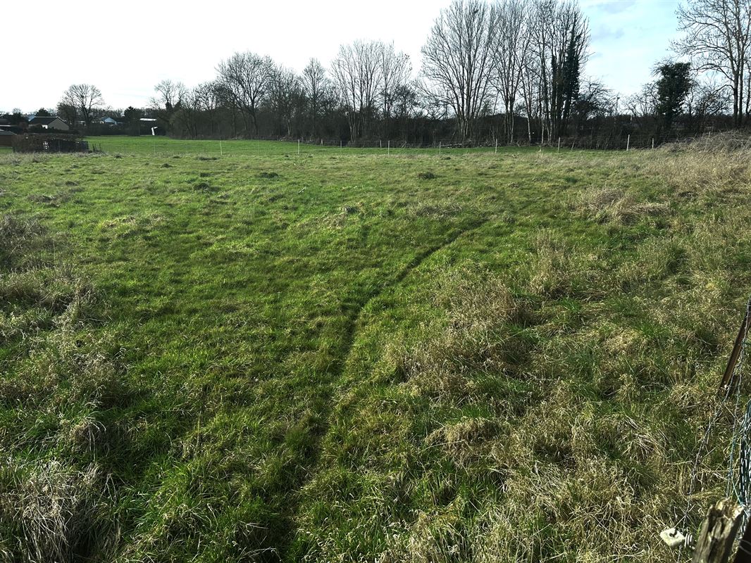 Terrain à bâtir à AGIMONT (0 chambre)