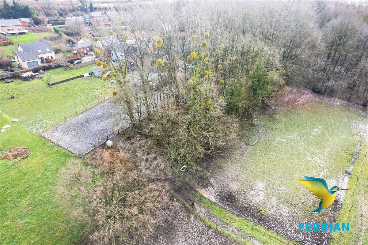 Maison à Anderlues (3 chambres)