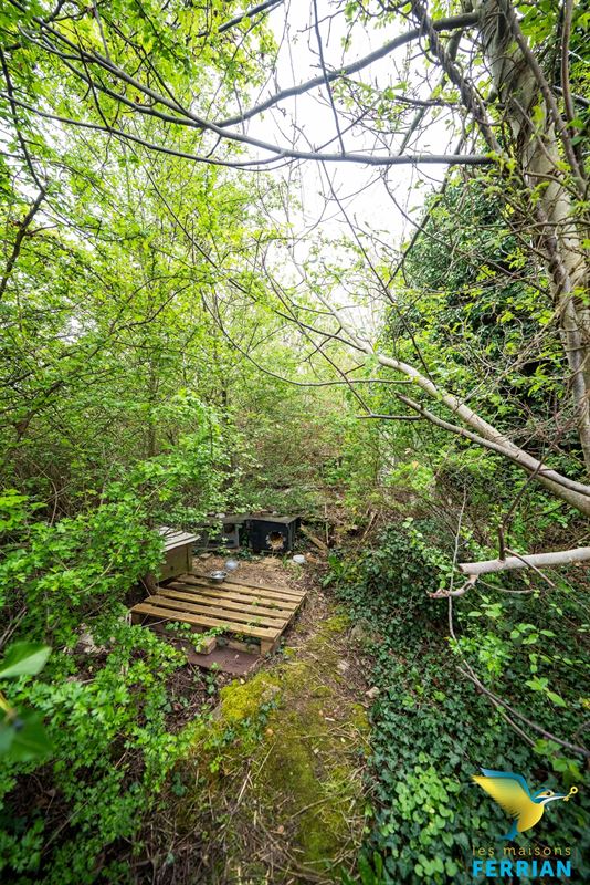 Maison à MONCEAU-SUR-SAMBRE (3 chambres)