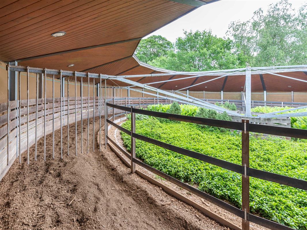 Fokkerij- en trainingscentrum voor paarden met ruim 80 Ha