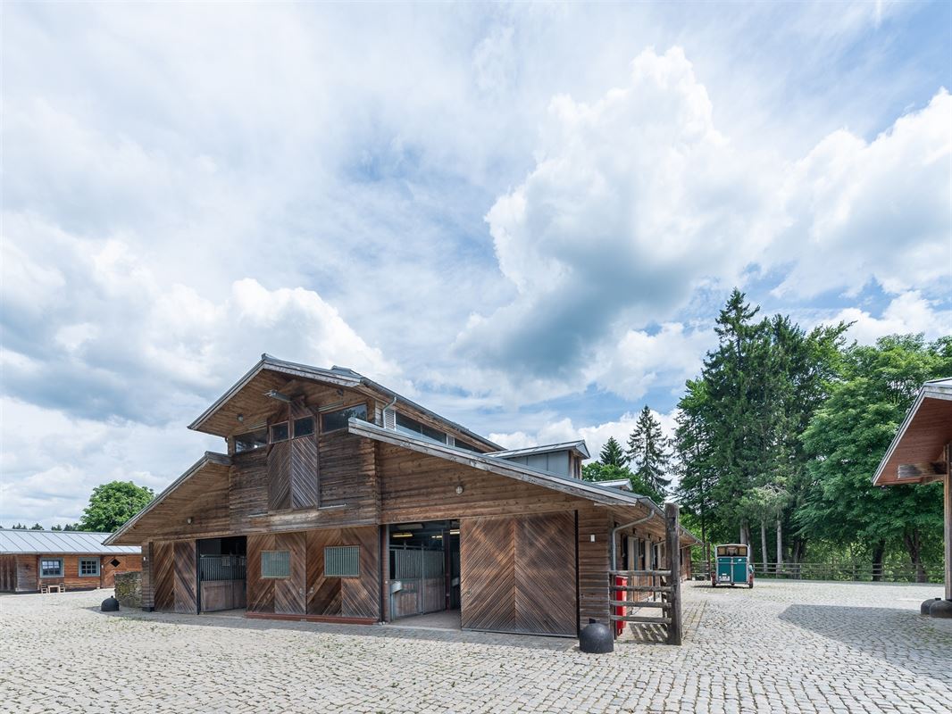 Fokkerij- en trainingscentrum voor paarden met ruim 80 Ha
