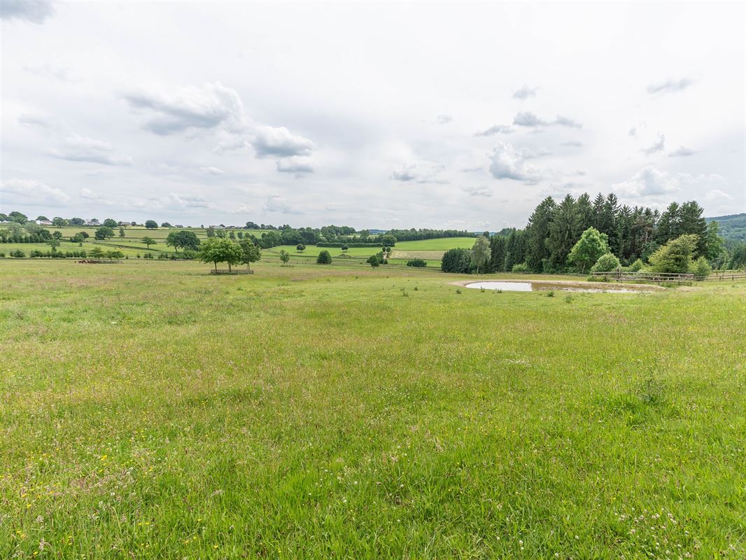 Fokkerij- en trainingscentrum voor paarden met ruim 80 Ha