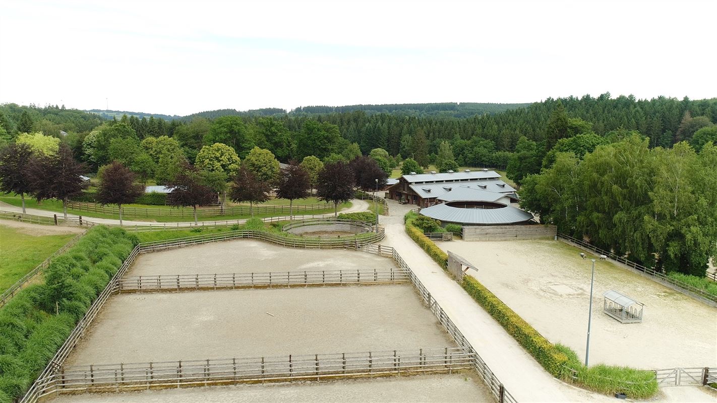 Fokkerij- en trainingscentrum voor paarden met ruim 80 Ha