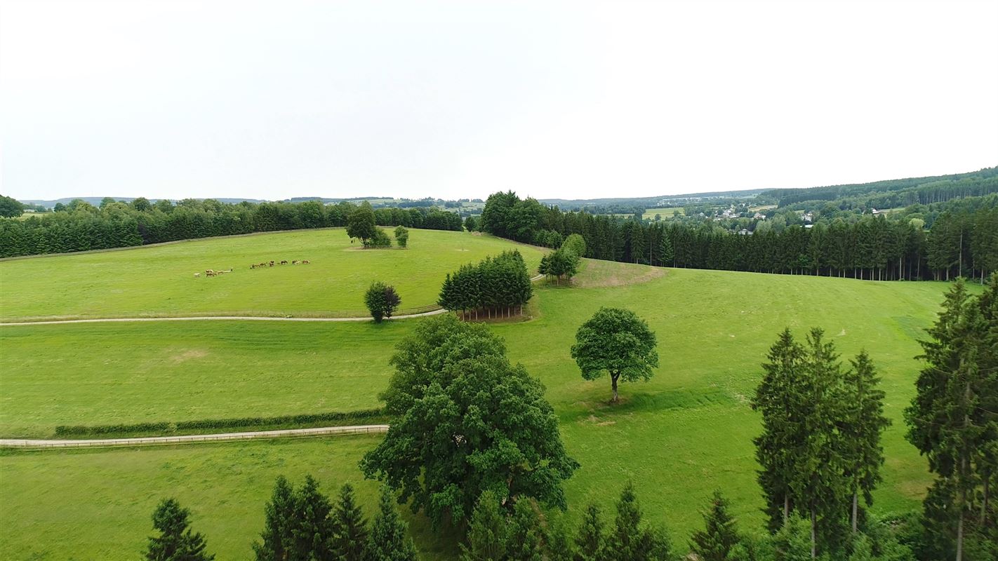 Fokkerij- en trainingscentrum voor paarden met ruim 80 Ha