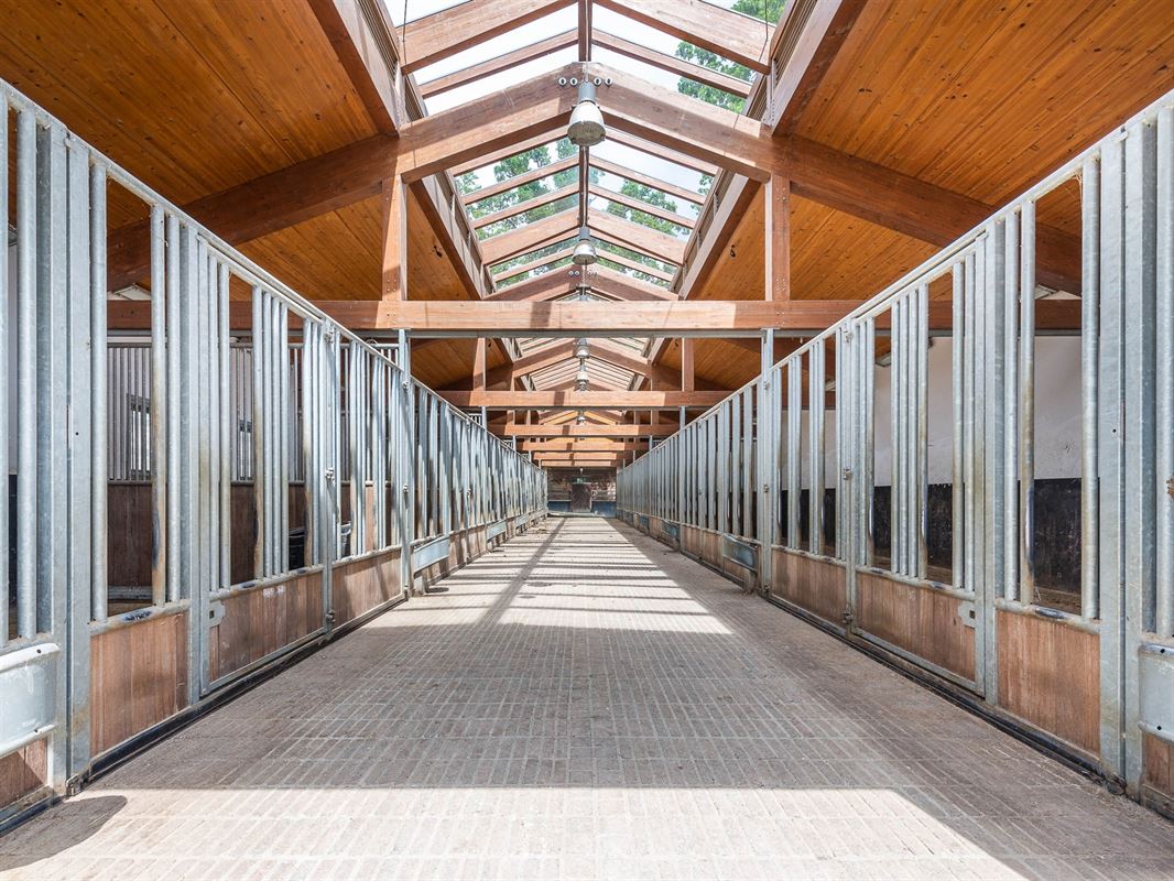 Fokkerij- en trainingscentrum voor paarden met ruim 80 Ha