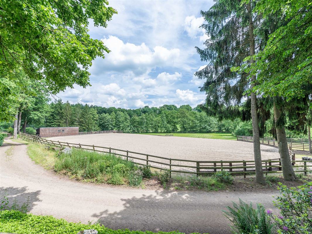 Fokkerij- en trainingscentrum voor paarden met ruim 80 Ha