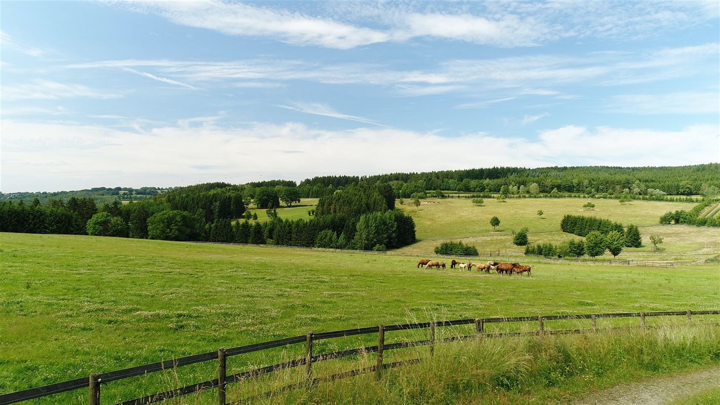 Fokkerij- en trainingscentrum voor paarden met ruim 80 Ha