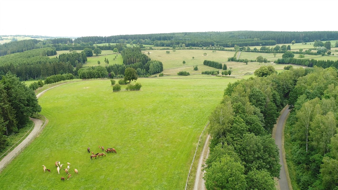 Fokkerij- en trainingscentrum voor paarden met ruim 80 Ha
