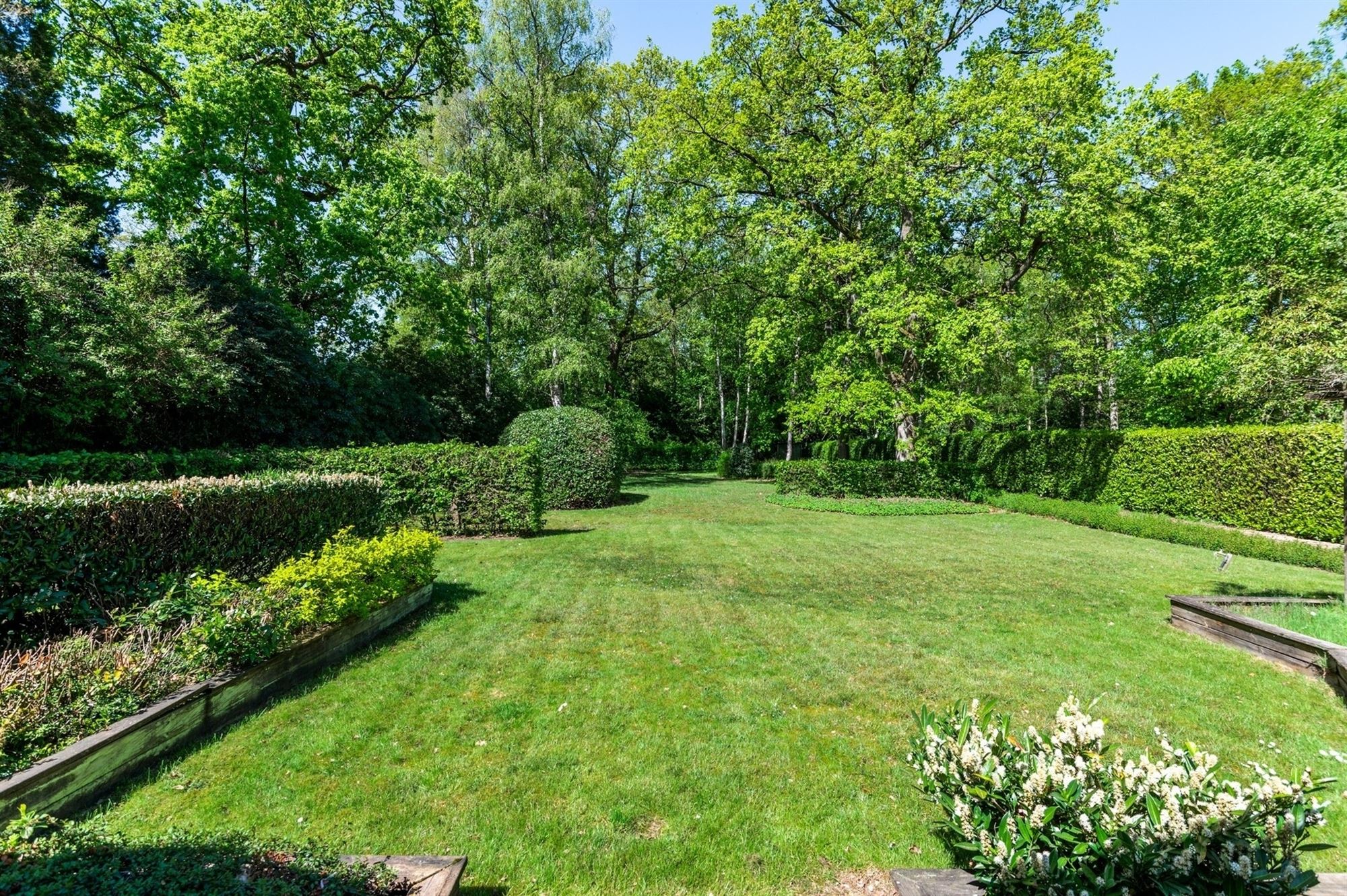 A plot of land measuring approximately 3,000 m² in Koningshof