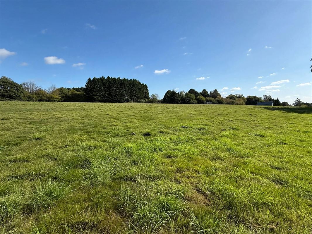 open-grassy-field-landscape
