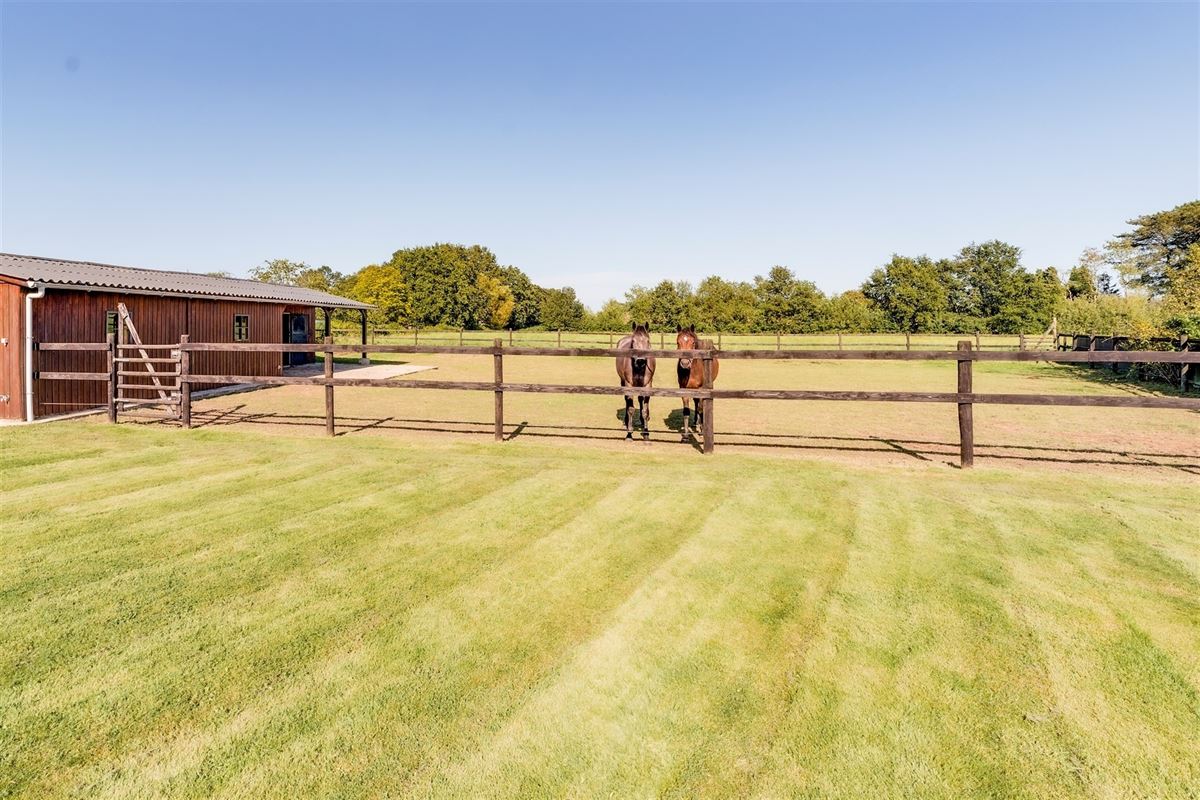Recente OB met 4 slk op 2200 m² met 2 paardenstallen